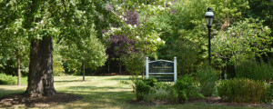 IV greenspace2