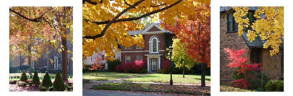 Autumn-Banner