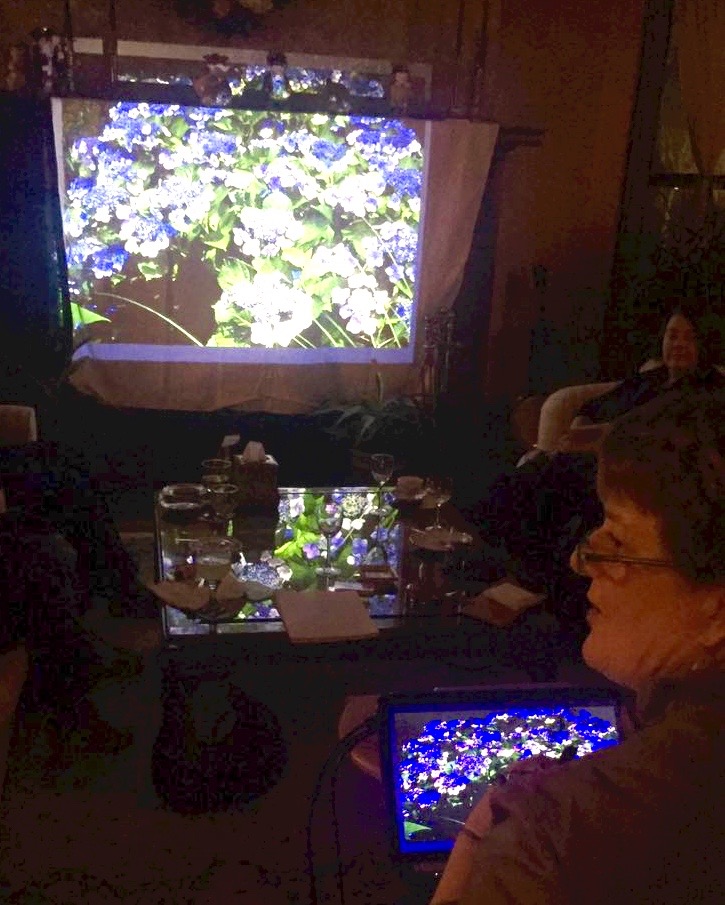 Mil presented a new powerpoint presentation about hydrangeas.